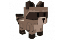 Racoon